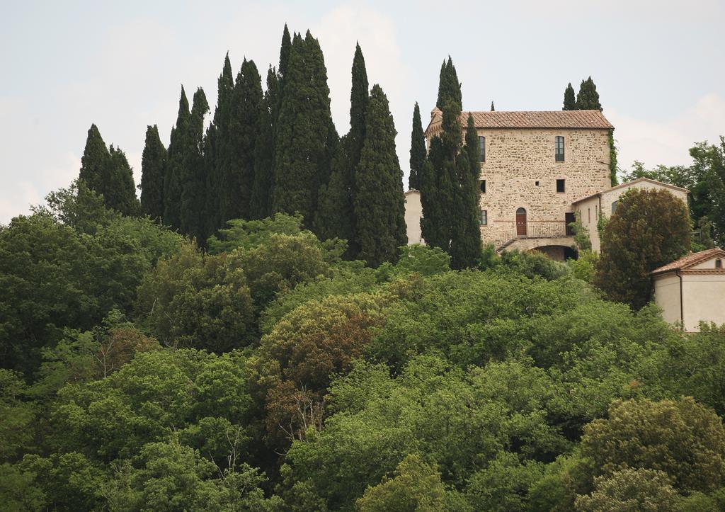 Residence Castello Di Orgiale Кастельнуово-Берарденга Экстерьер фото